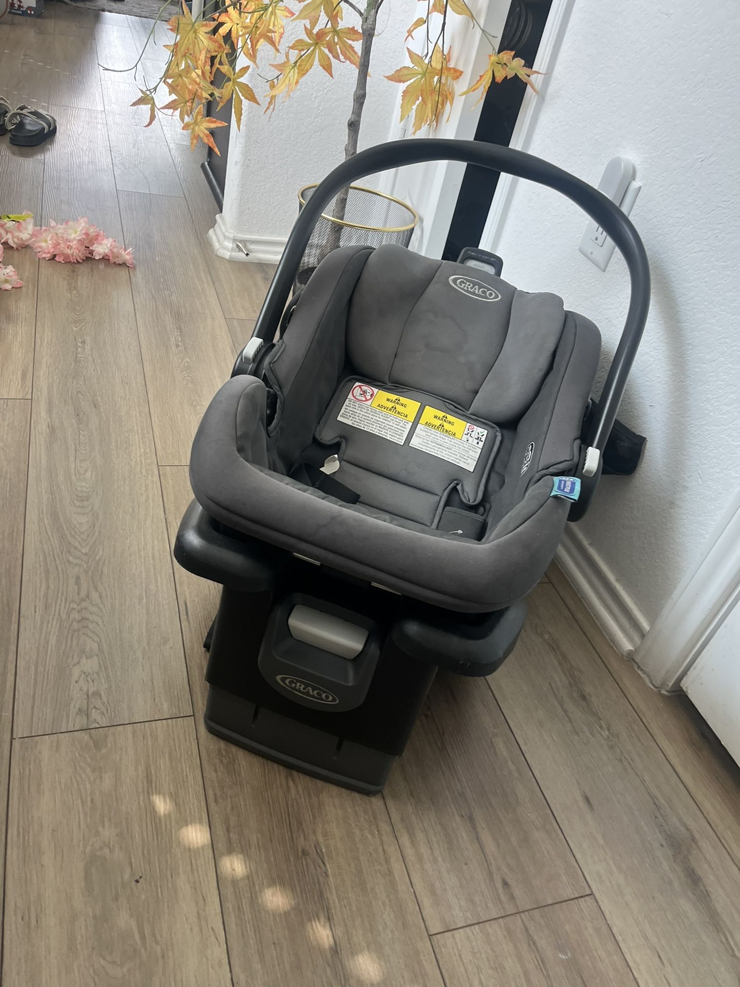 Graco Car seat 