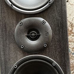 Cerwin-Vega Re-6C Center Speaker