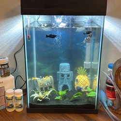 Fish Tank Set