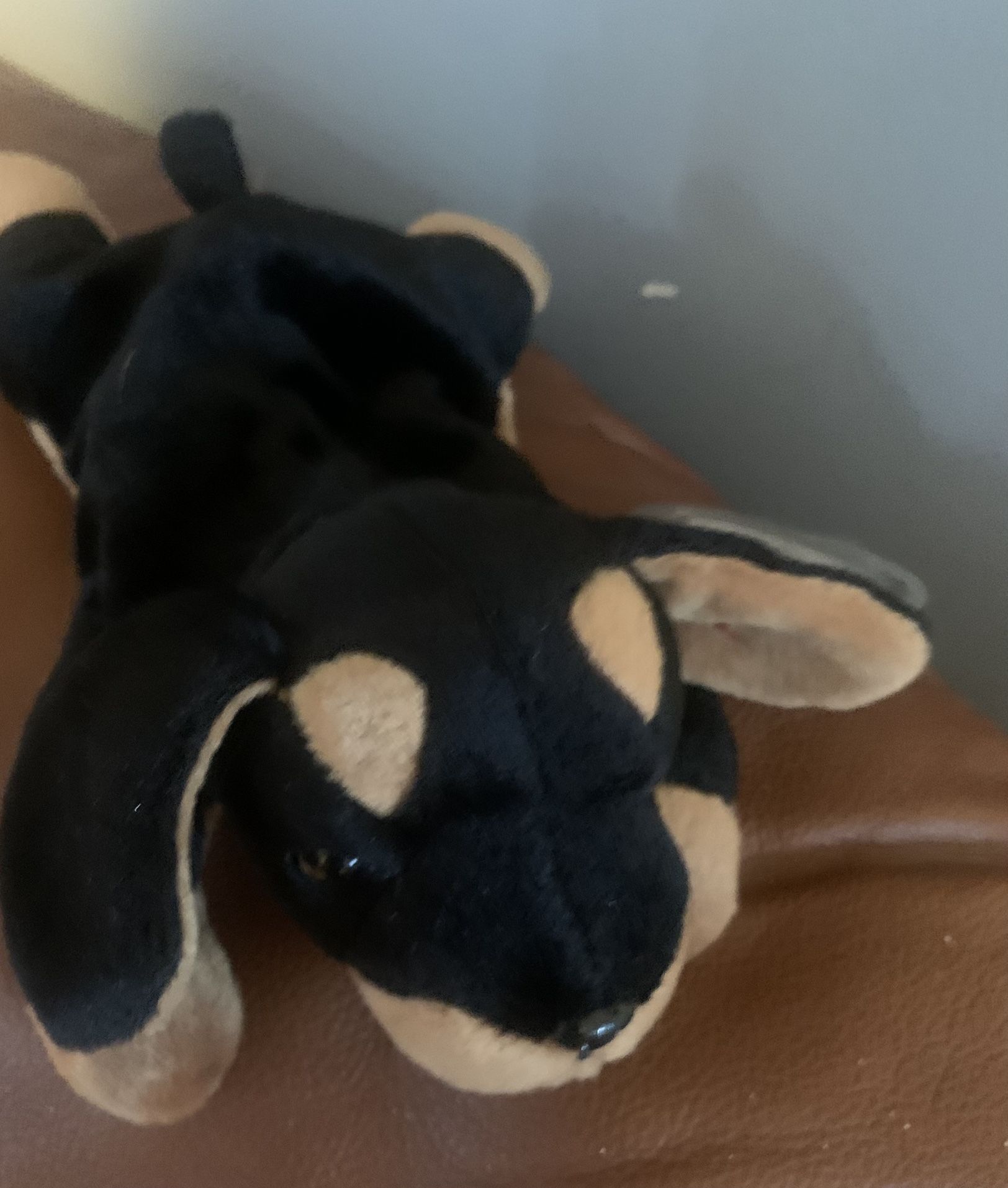 Ty Beanie Baby Doby RARE/retired 96’ errors