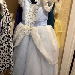 Kids Costumes/ Princess Dress