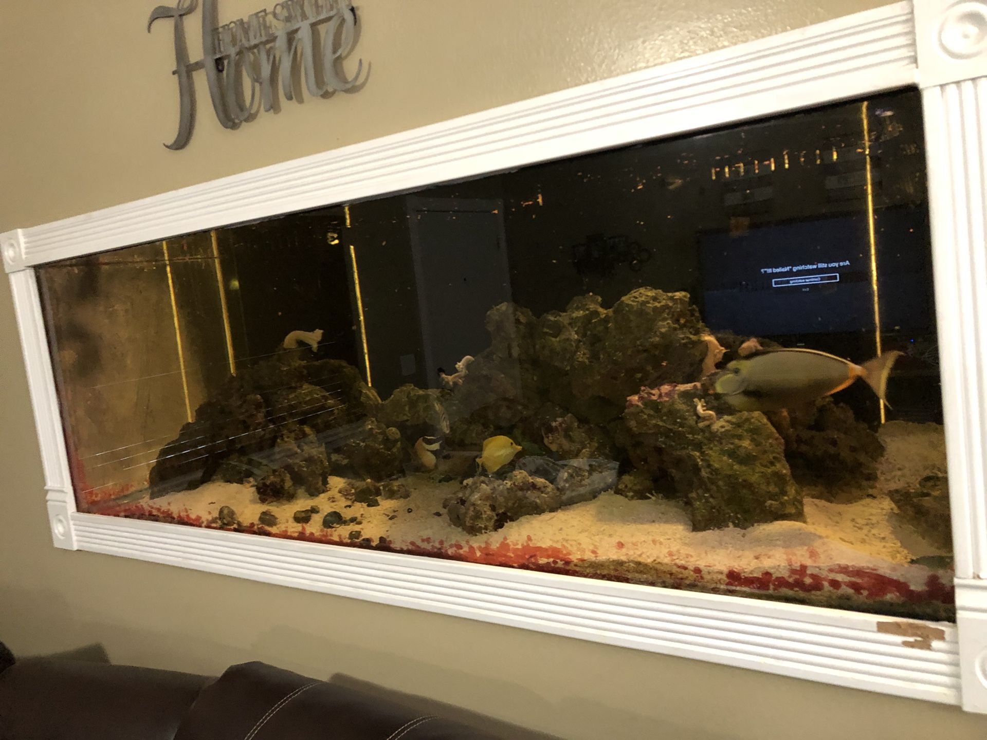 260 Gallon FISH TANK And ATTACHMENTS