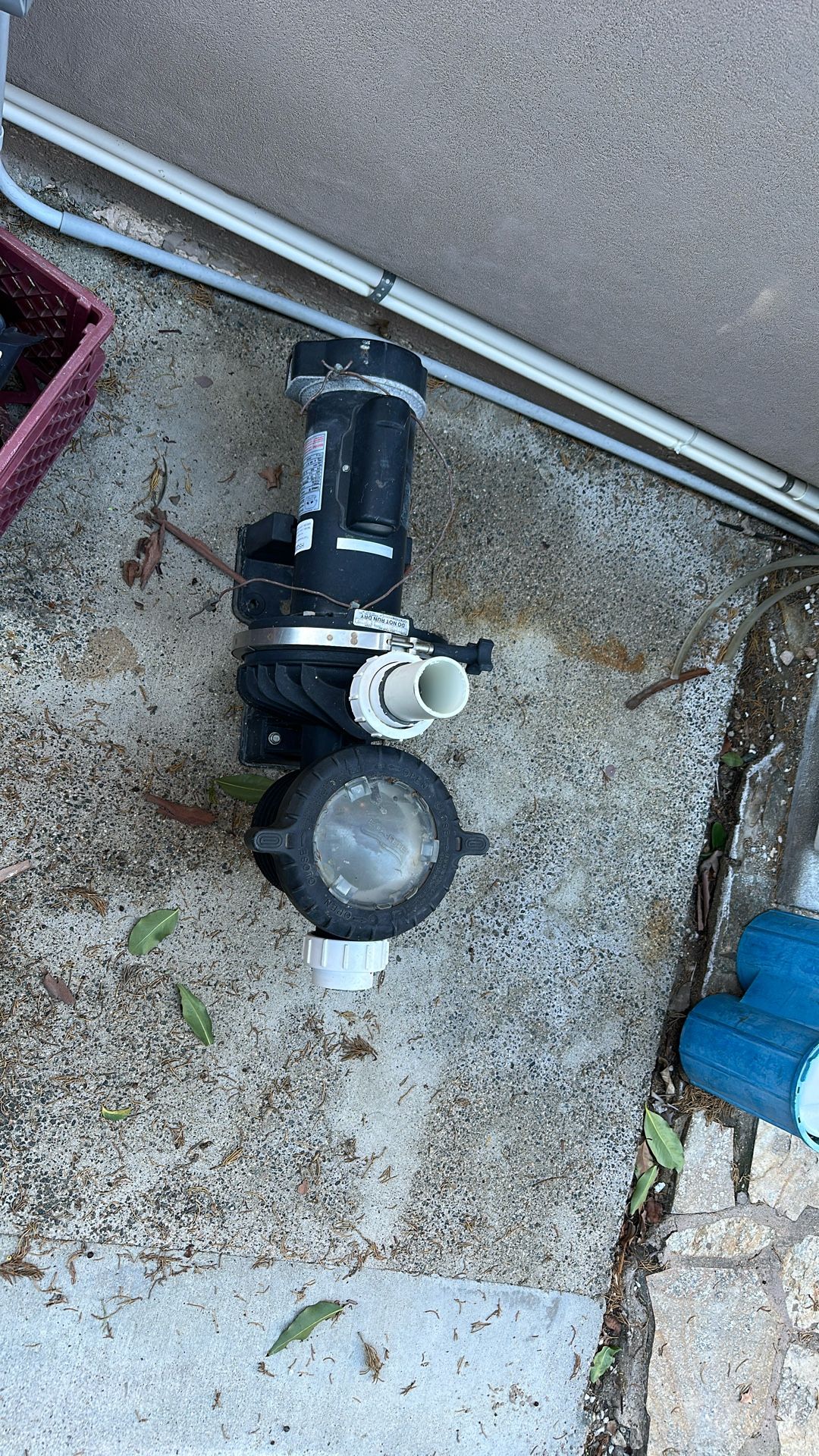 Pool Pump