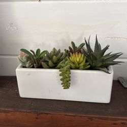 Faux Succulent 