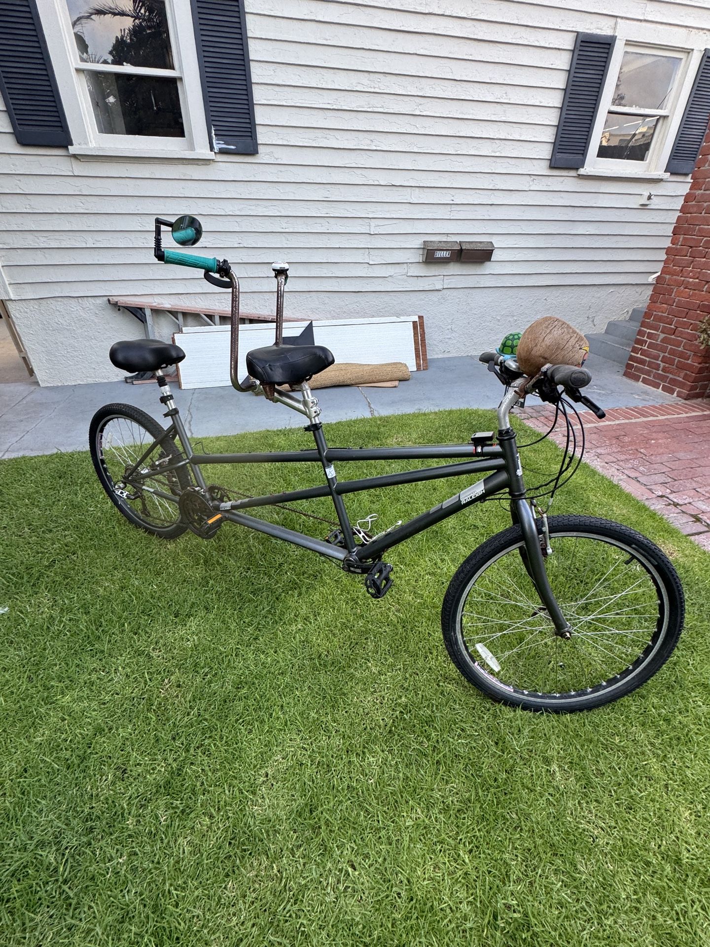 Raleigh Tandem Bike