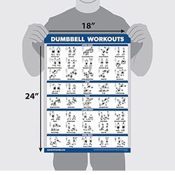 Poster With Dumbell Workout