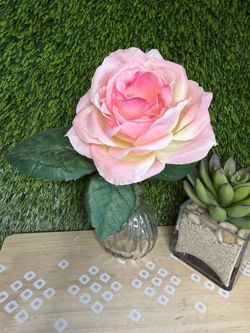 Rose in vase 9 inches tall 3 inches wide Pickup near Rosedale hwy and Allen rd