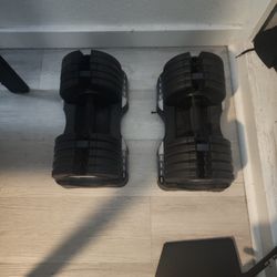 Pro Form Dumbells