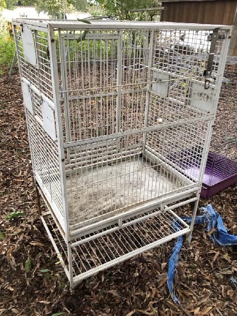 Metal Parrot Cages