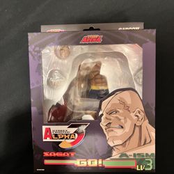 Storm Arena Collectibles Sagat
