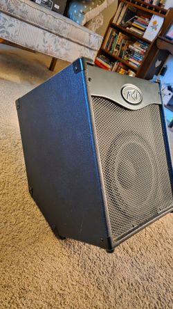 Peavey Electric Guitar/Bass amp