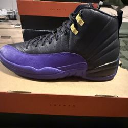 Air Jordan Retro 12 Field Purple 