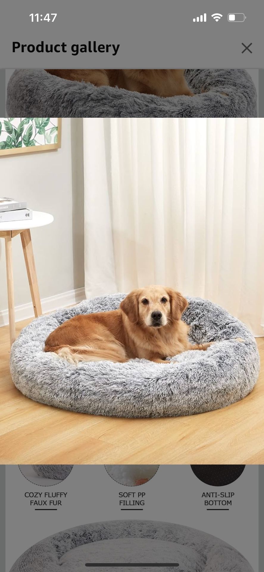 Dog Bed