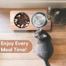 Cat Food Bowls *NEW*