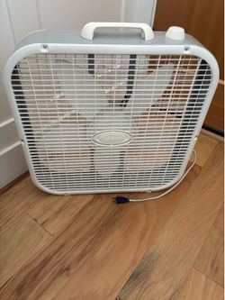 Fan