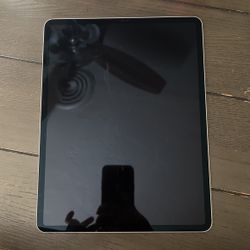 12.9 Inch Ipad Pro 128 GB 4th Gen 