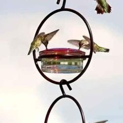 Hummingbird Feeder