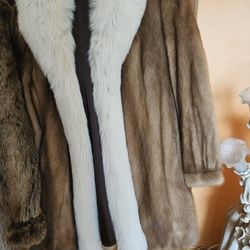 Women Whinter Coat 