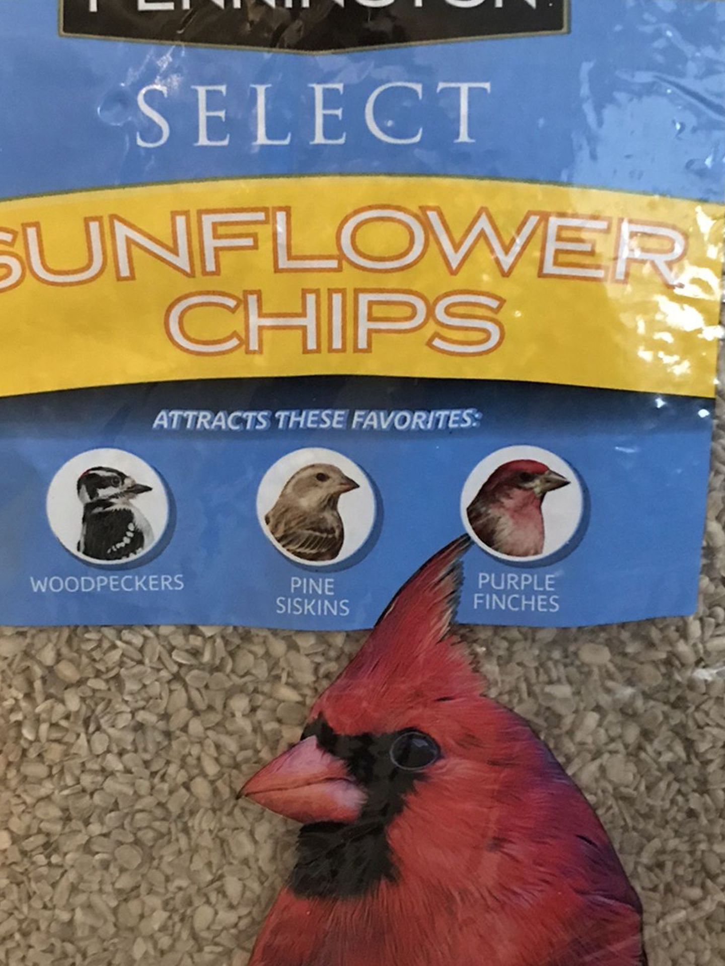 Pennington Select Sunflower Chips Wild Bird Seed