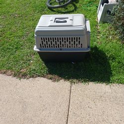Dog Kennel 