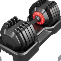 One 55LB Dumbbell, Adjustable Dumbbell Set