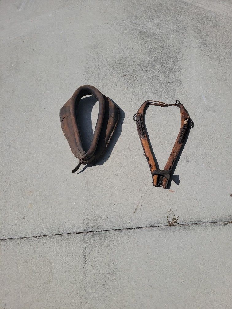 Antique Horse  Collars 