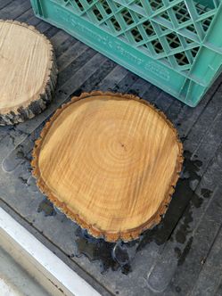 Rustic Wood Rounds Arizona Ash