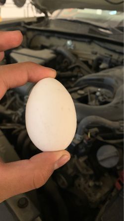 3 inch egg