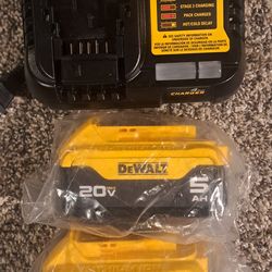 Dewalt 20v Batteries and fast charger dcb1104