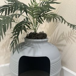 Cat Planter Litter Box