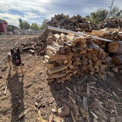 Firewood 