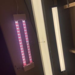 Grow Light Bundle Of 3 With Much More 