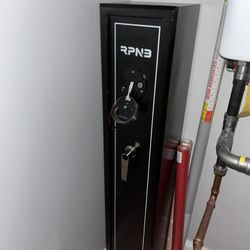 Rifle And Handgun Safe