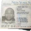 Troy David