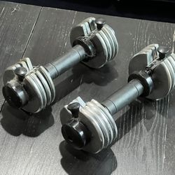 Pair Of dumbbells 