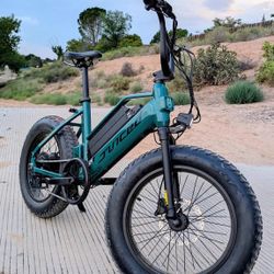 Ripracer Class 3 E-bike 