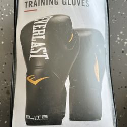 Brand new Everlast elite training gloves and Mantis punch mitts, complete with boxing glove accessories.
