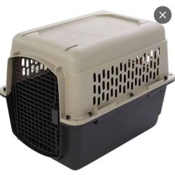 36 In Dog Crate 