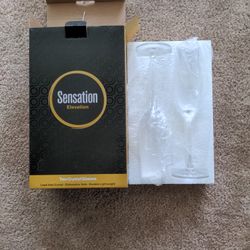 Brand New Champagne Glasses (2x, 8oz)