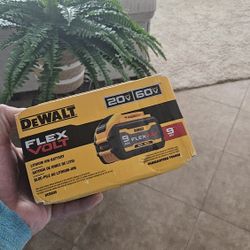 New Dewalt battery 9Ah