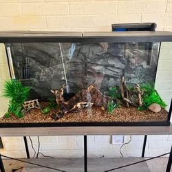 55gal Fish Tank 