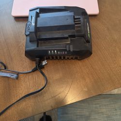 Ego 56V battery charger