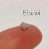El wiwi