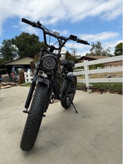 Fat tire e-bike