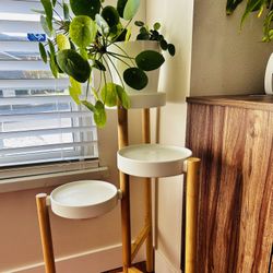 Plant stand