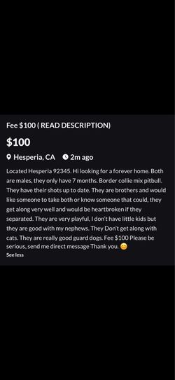 🐶 supplies