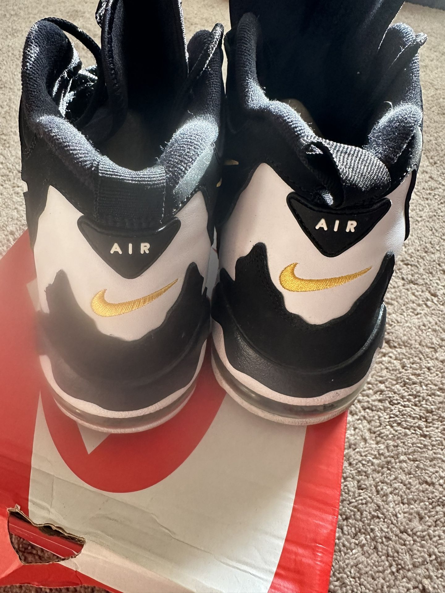 Nike DT Max 96 (2018) Releases Not (2024)