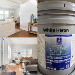 New 5 gallon interior paint 