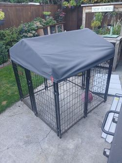 Small dog run