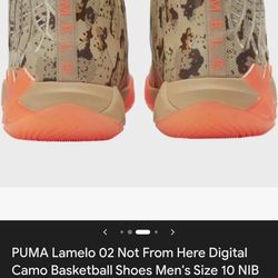 Melos puma 02